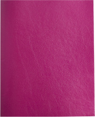 Тетрадь Buro 48л. клет. A5 202х163 1диз. бумвинил скоба бордовый